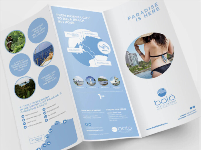 Trifold Brochure - Image 7