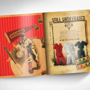 Illustrated-Brochures