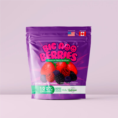 Packaging design for berries done by The NetMen Corp